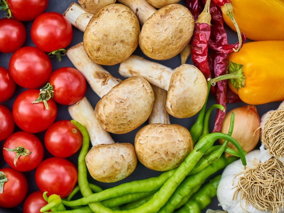 Fresh vegetables and ingredients for food science study